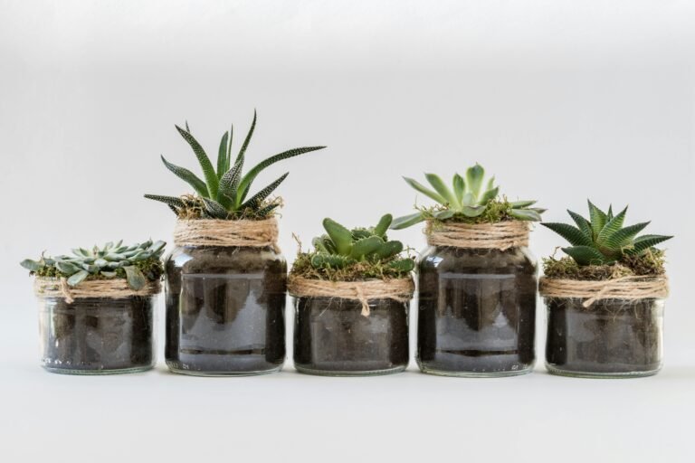 10 Hard-to-Kill Plants That Bring Life to Your Space